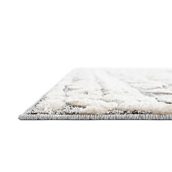 Hadorn Tapis 300x240 gris clair Vevey