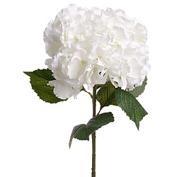 Atmosphera, Createur D'Interieur Tige artificielle d'Hortensia - H. 83 cm - Blanc