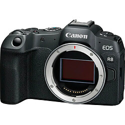 Canon EOS R8 Boîtier + objectif RF 24-50 mm f/4.5-6.3 IS STM + EF-EOS R + SanDisk 32 Go