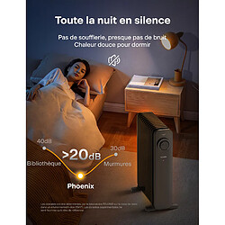 Acheter PELONIS Radiateur à huile 2500W, Chauffage électrique 13 ailettes avec thermostat Noir