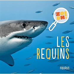 Les requins