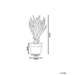 Avis Beliani Plante artificielle YUCCA 52 cm