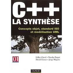 C++, la synthèse : concepts objet, standard ISO et modélisation UML - Occasion