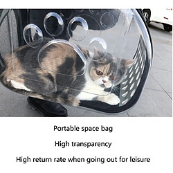 Equipement de transport pour chat