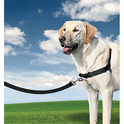 Petsafe - Harnais Easy Walk Premier L