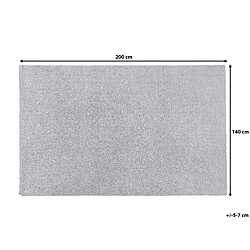 Beliani Tapis gris clair 140 x 200 cm DEMRE