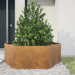 vidaXL Jardinière hexagone 138x120x45 cm acier corten