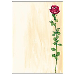 sigel Papier à motif, A4, 90 g/m2, motif 'Rose Bloom' ()