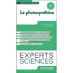 La photosynthèse : l'essentiel pour l'étudiant