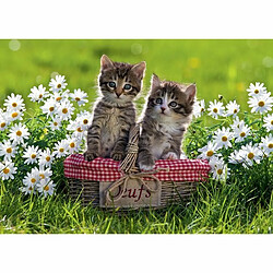 Ludendo Puzzle 1000 pièces Ravensburger - Les chats au pique-nique