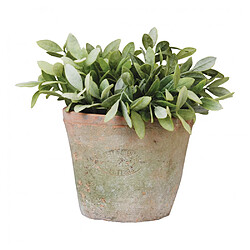 Ac-Deco Pot pour plantes en terre cuite - D 16,3 cm x H 12 cm