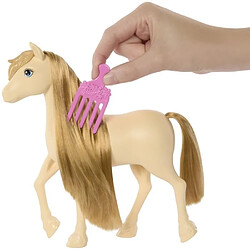 Acheter Barbie – Barbie Mysteries : The Great Horse Chase-Poney et accessoires HXJ36