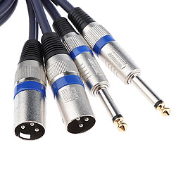 Avis double câble mâle 6.35mm à double câble audio xlr pour haut-parleur 150cm