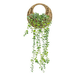 Atmosphera, Createur D'Interieur Eucalyptus à suspendre avec pot naturel - H. 70 cm