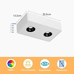 Acheter NETTLIFE 2 Spots de plafond Ekig blanc chaud 11W en saillie petits pour cuisine couloir chambre salle à manger