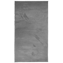 vidaXL Tapis OVIEDO à poils courts anthracite 80x150 cm