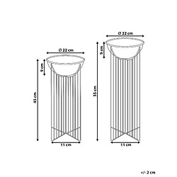 Avis Beliani Lot de 2 pots de fleurs FICARIA Métal 22 cm