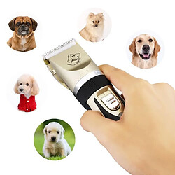 Acheter 10pcs-HanCheng Kit Tondeuse Animaux Electrique sans fil Rechargeable Rasoir Toilettage Clippers Animaux Professionnelles - OR