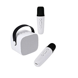 PARTY Enceinte Bluetooth 5.1 avec 2 Micro karaoké Sans Fil Modèle Party Btmic 15W Blanc