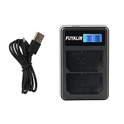 FZ100 LCD chargeur double pas cher