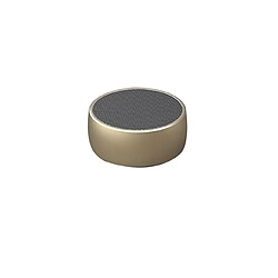 Universal Haut-parleur Bluetooth sans fil 2020 Mini haut-parleur de lecture de musique Subwoofer portable Microphone Haut-parleur métal sans fil