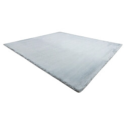 Avis RUGSX Tapis TEDDY NEW dream 47 Shaggy argent très épais, en peluche 160x220 cm