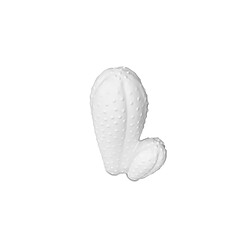 Acheter ICONIK INTERIOR Figurine décorative moyenne Cactus Blanc Blanc