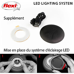 Acheter Accessoires pour Laisse LED Lighting System USB black Flexi CFNZLS-551-S