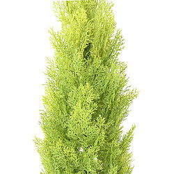 Pegane Plante artificielle haute gamme Spécial extérieur / Cyprès artificiel coloris vert/jaune - Dim : 125 x 25 cm