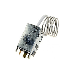 Gorenje THERMOSTAT 077B6667