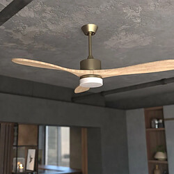 Acheter Ventilateur de Plafond Cecotec EnergySilence Aero 5290 Golden Pro