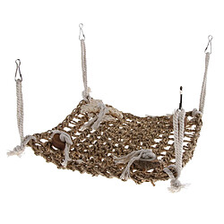 Corde Filet Escalade pour oiseau Perroquet