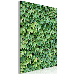 Artgeist Tableau - Thick Ivy (1 Part) Vertical [20x30]