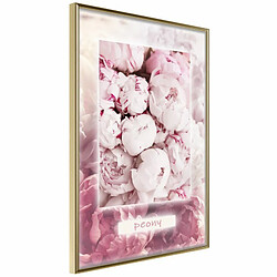 Paris Prix Affiche Murale Encadrée Scent of Peonies 20 x 30 cm Or