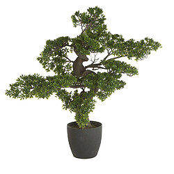 Pegane Bonsai artificiel géant avec pot en PLASTIQUE/CIMENT - Dim : H 80 x L 80 x P 60 cm