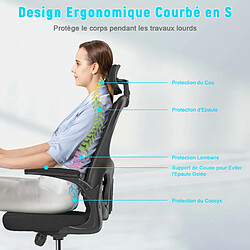 Acheter BIGZZIA Chaise de Bureau - Ergonomique Siège-Fauteuil avec 2D Accoudoirs, Hauteur Appui-tête Soutien Lombaire Dossier Règalable Noir