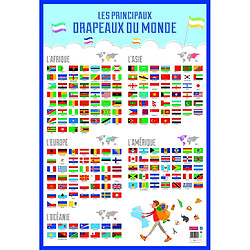 Poster drapeaux du monde effaçable à sec - L 76 x l 52 cm