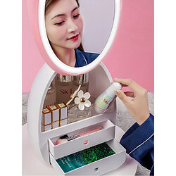 Universal Forme d'œuf Lumière LED Organiseur de bureau Miroir HD Organisateur de maquillage Boîte de rangement de beauté créative Boîte de beauté portable