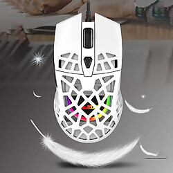 Universal Souris gaming légère, symétrique, ergonomique, rétroéclairée RGB, 6 vitesses, 6200 ppp | Mouse (blanc)