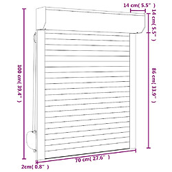 vidaXL Volet roulant aluminium 70x100 cm blanc pas cher