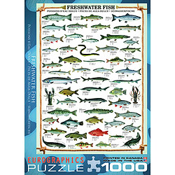 Acheter Eurographics Poissons d'eau Douce Puzzle (1000 pièces)