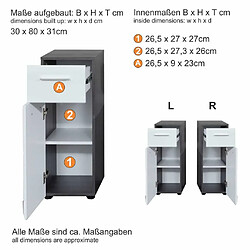 Acheter Trendteam Armoire de rangement de sol Line Blanc et argenté fumé