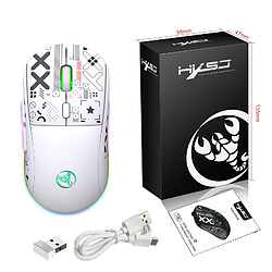 Avis Yonis Souris Gaming Sans Fil RGB 3 Modes Rechargeable