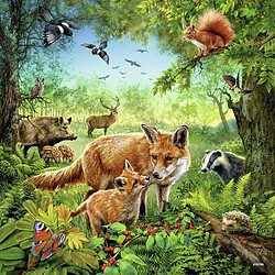 Ravensburger- Pack de 3 Puzzles Animaux Monde 49 pièces, 09330