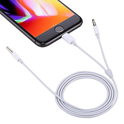 Avis Wewoo Pour iPhone, iPad, Samsung, Huawei, Xiaomi, HTC 1m 2 en 1 Lightning mâle et 3,5 mm à 3,5 mm câble audio AUX,