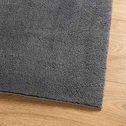 Avis vidaXL Tapis HUARTE à poils courts doux et lavable anthracite 80x200cm