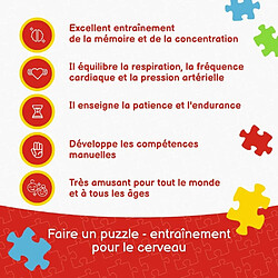 Trefl Enfants à partir de 4 Ans Puzzle, 17375, Paw Patrol sur Une clairière Viacom Paw Patrol pas cher