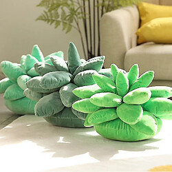 Avis Universal Cactus succulent Cactus 3D Oreiller de décoration