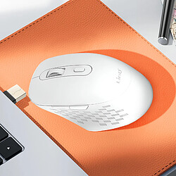 Avis LinQ Souris Sans Fil WiFi et Bluetooth 2.4G avec Dongle USB C et USB Blanc