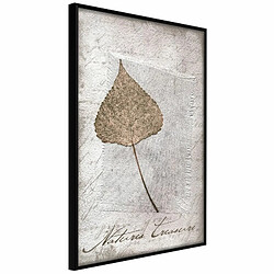 Paris Prix Affiche Murale Encadrée Dried Leaf 20 x 30 cm Noir